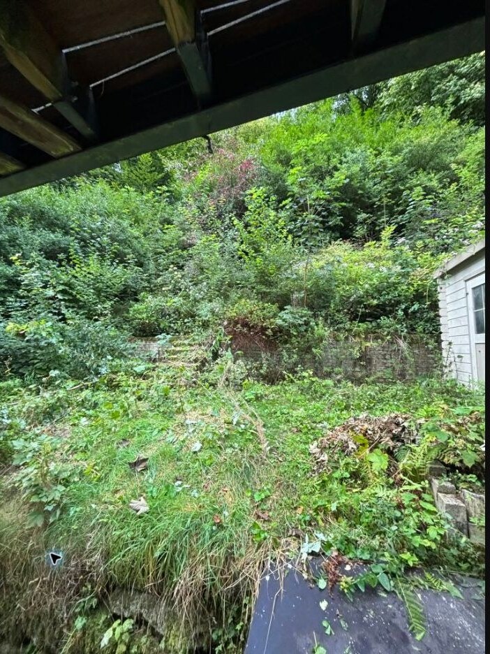 Jardin très végétalisé avant remise en ordre